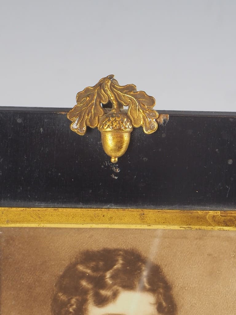 Set of 3 Antique Acorn Miniatures with Original Photographs